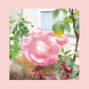 Summer at Land's end